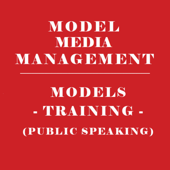 Excel Model Media Management
