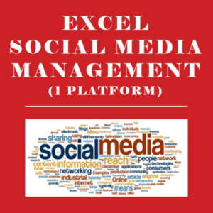 EXCEL SOCIAL MEDIA MANAGEMENT 1 PLATFORM