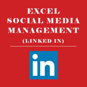 EXCEL SOCIAL MEDIA MANAGEMENT LINKED IN